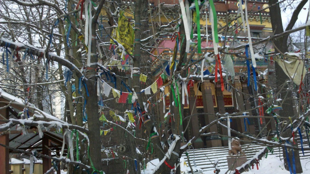 2013-02-03_16-00-36_174